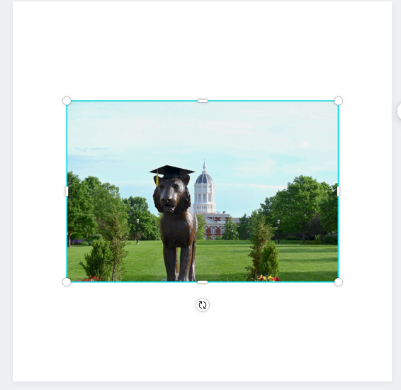 A photo of the bronze tiger on Canahan Quad with a graduation cap on top. Behind you can see Jesse Hall. The image is placed on a white staging area shaped as a square.