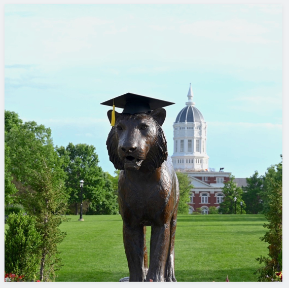A photo of the bronze tiger on Canahan Quad with a graduation cap on top. Behind you can see Jesse Hall. The image fills up a staging area shaped as a square.